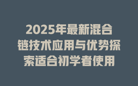 2025年最新混合链技术应用与优势探索适合初学者使用 一