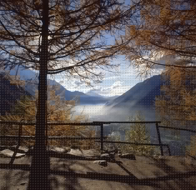 轻松掌握这几步，让你在2026年顺利完成Bitget下载APP及注册流程！ 三